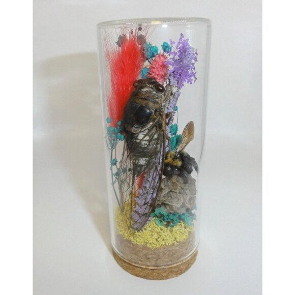 Cicada Wasp Nest & Carpenter Bee Oddity Jar curiosity dome insect taxidermy goth - Picture 9 of 15